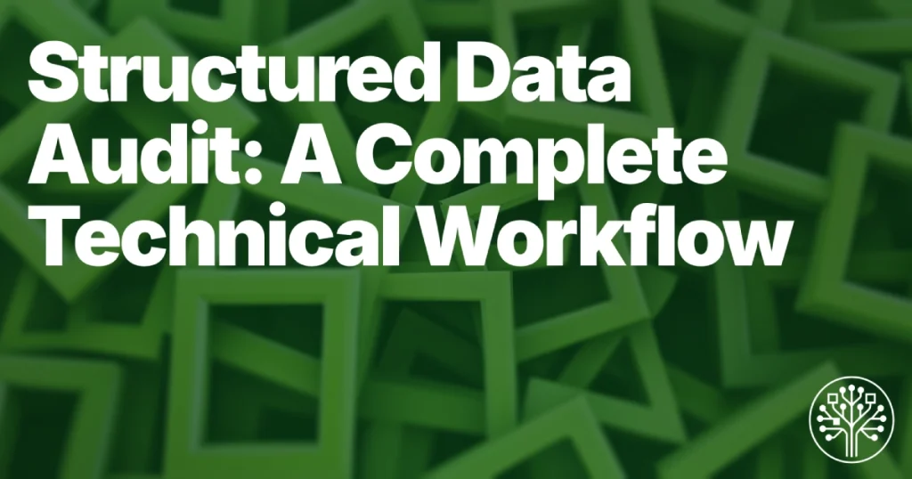 Structured Data Audit: A Complete Technical Workflow